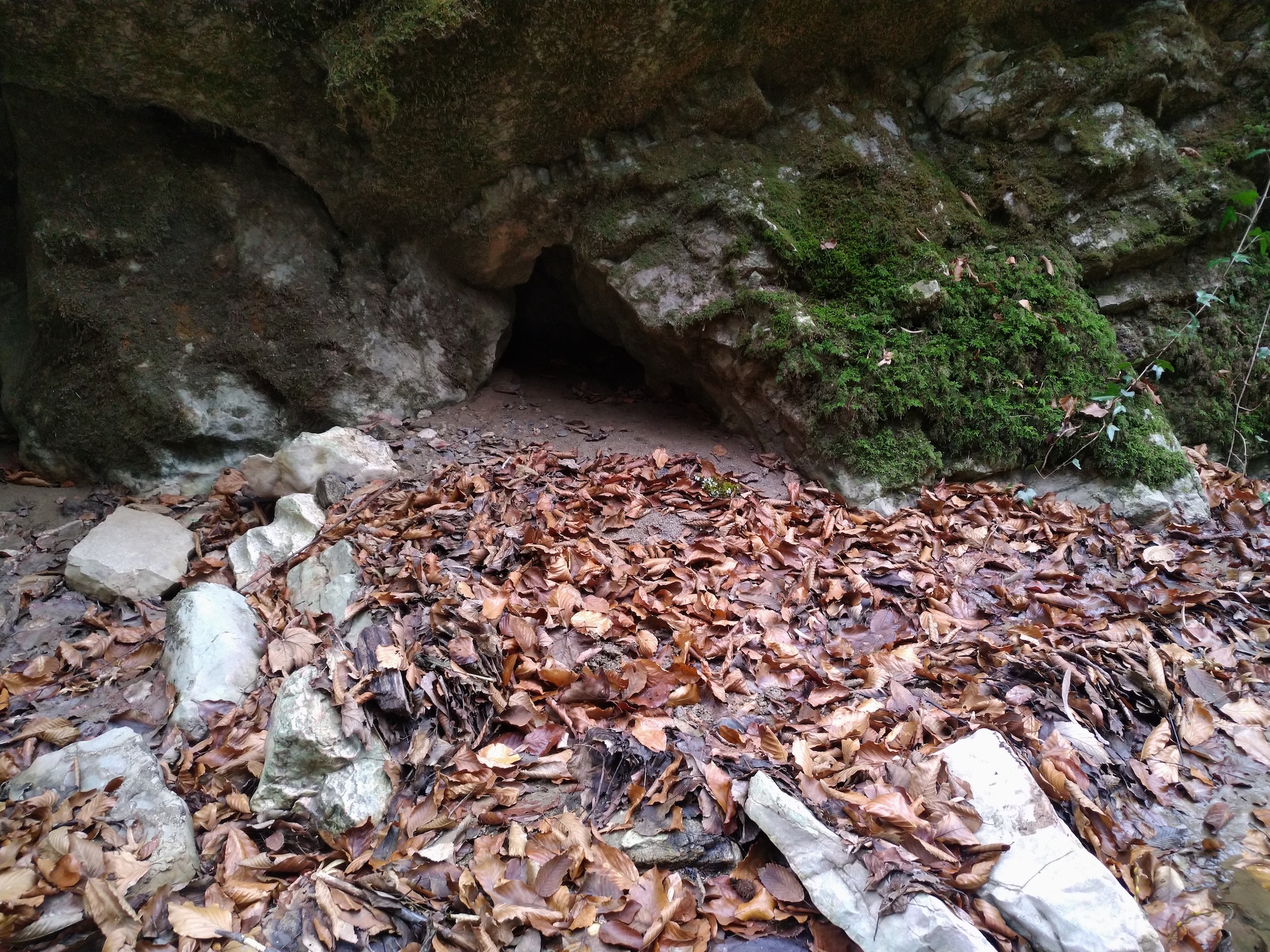 Peștera Gaura cu Nisip - Image 1